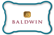 logo-image